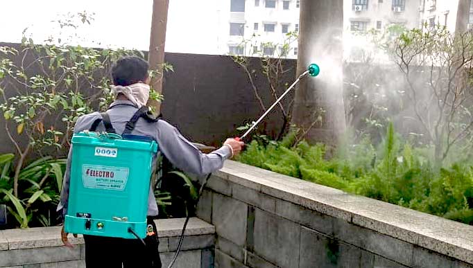 Pest Control Service in kolkata
