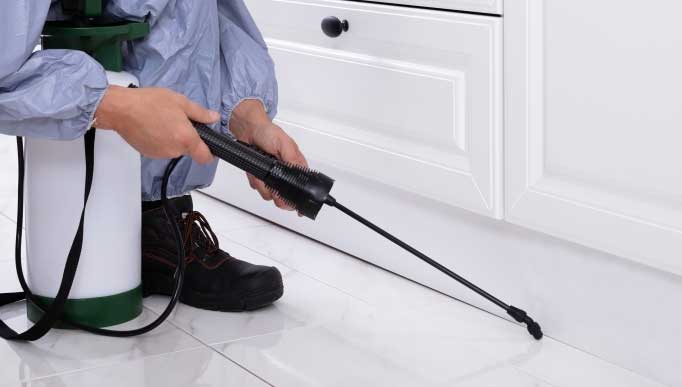 Pest Service Company in Kolkata