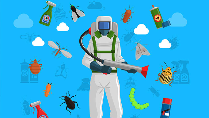 pest control services in Kolkata