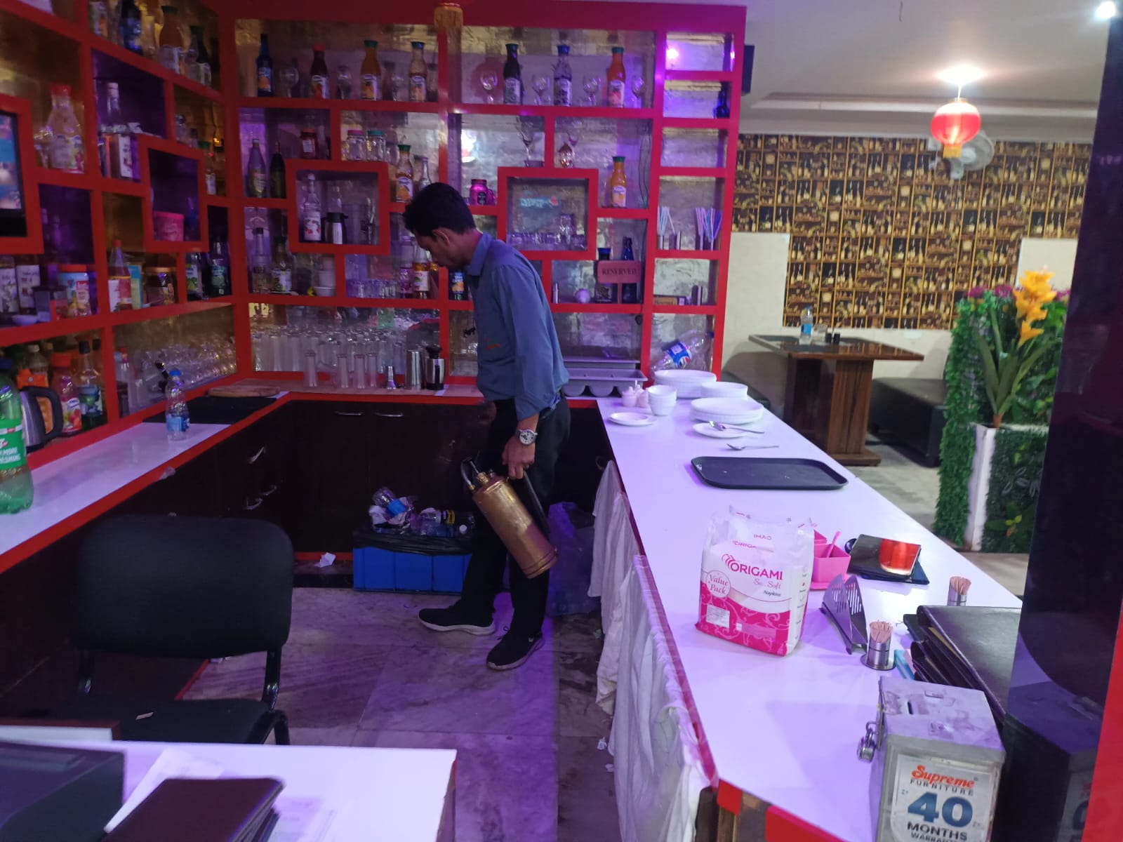 Pest Control Service
