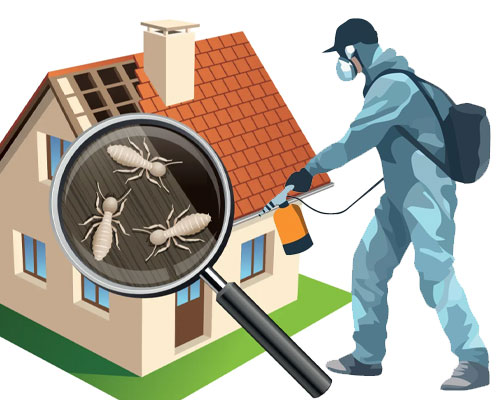 pest control service