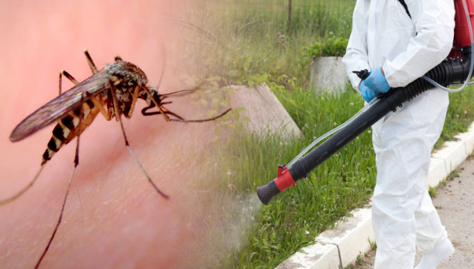 Mosquito Control