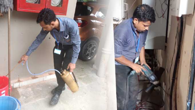Pest Control Service