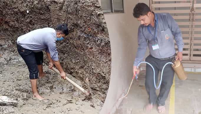 Termite Control Service