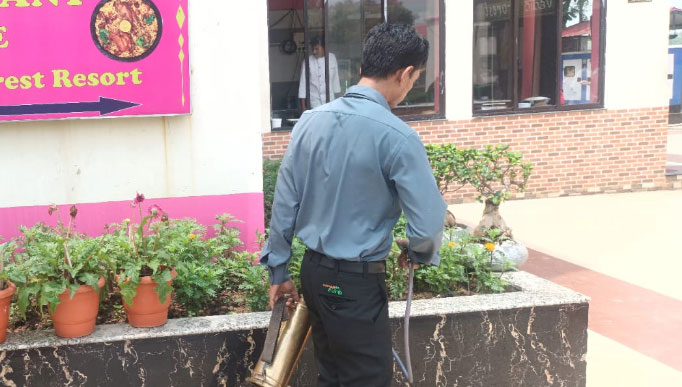 Pest Control Service